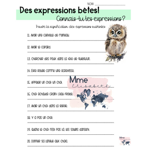 Connais-tu tes expressions?