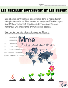 Les abeilles et les fleurs