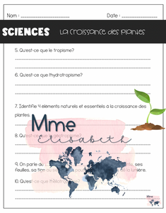 La croissance des plantes