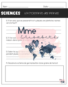 La croissance des plantes