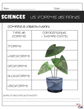 Charger l&#39;image dans la galerie, La croissance des plantes