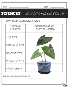 La croissance des plantes